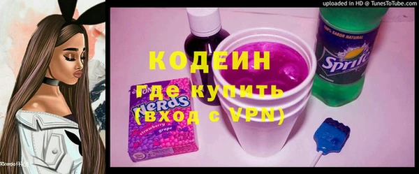 молекула духа Костерёво