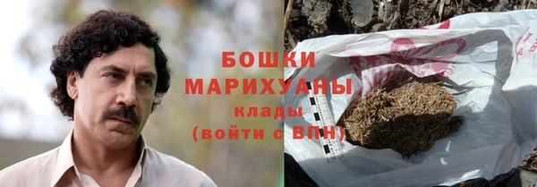 индика Корсаков