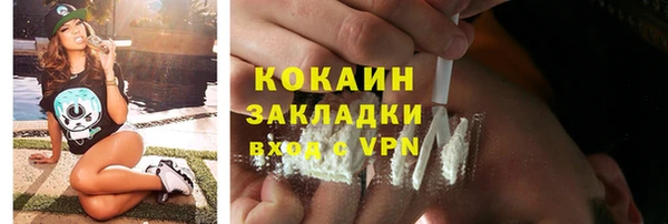 молекула духа Костерёво