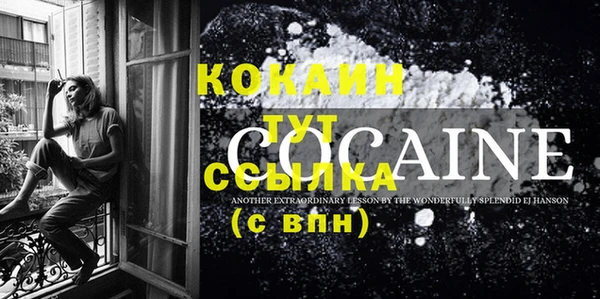 индика Корсаков