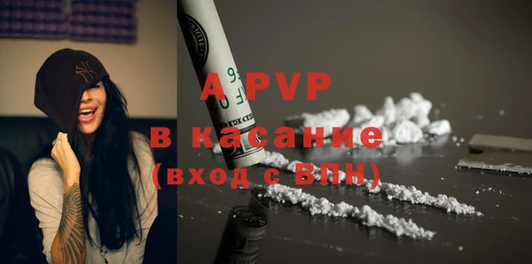 индика Корсаков
