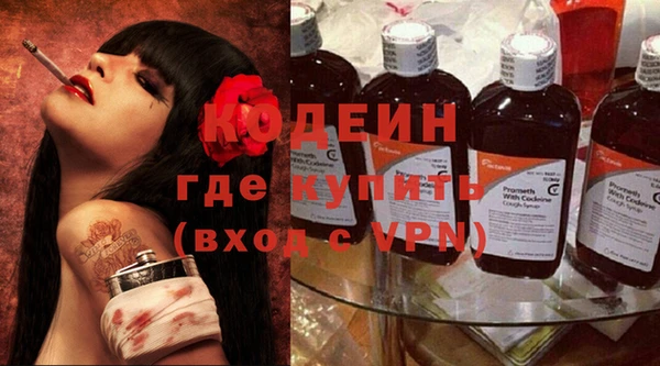 молекула духа Костерёво