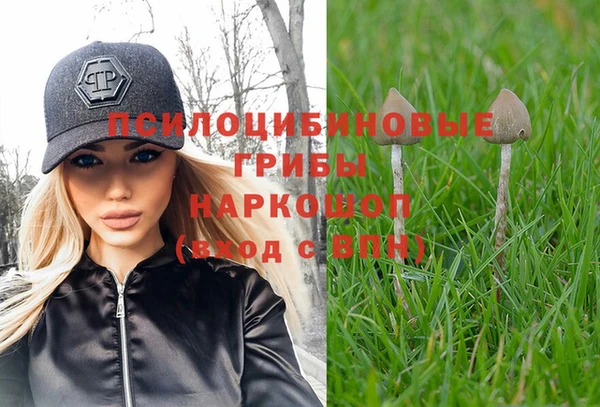 молекула духа Костерёво