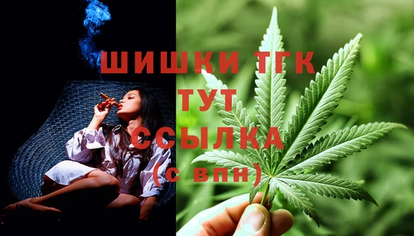 индика Корсаков