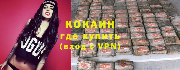 индика Корсаков