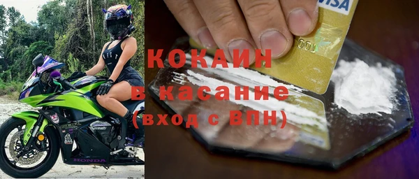 индика Корсаков