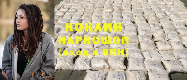 индика Корсаков