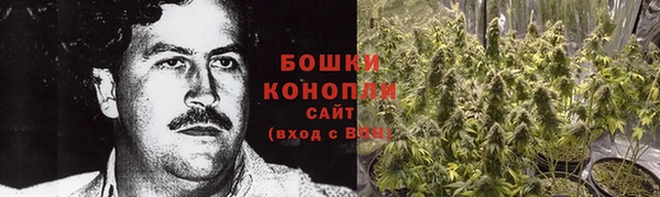 молекула духа Костерёво