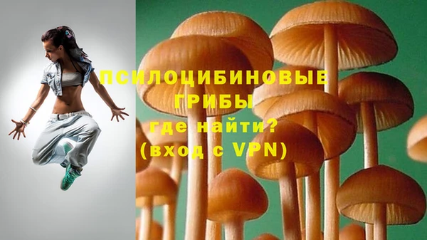 молекула духа Костерёво