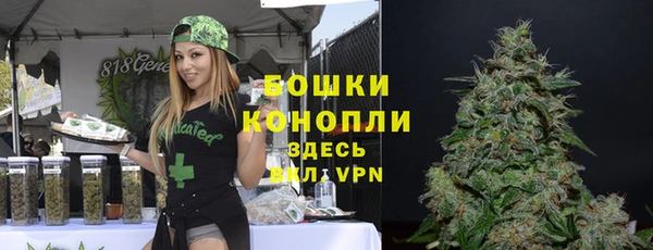 индика Корсаков