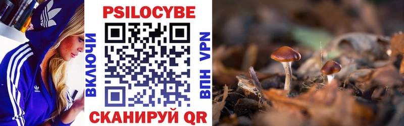 Галлюциногенные грибы мухоморы  Луза 